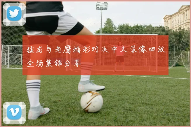 猛龙与老鹰精彩对决中文录像回放全场集锦分享